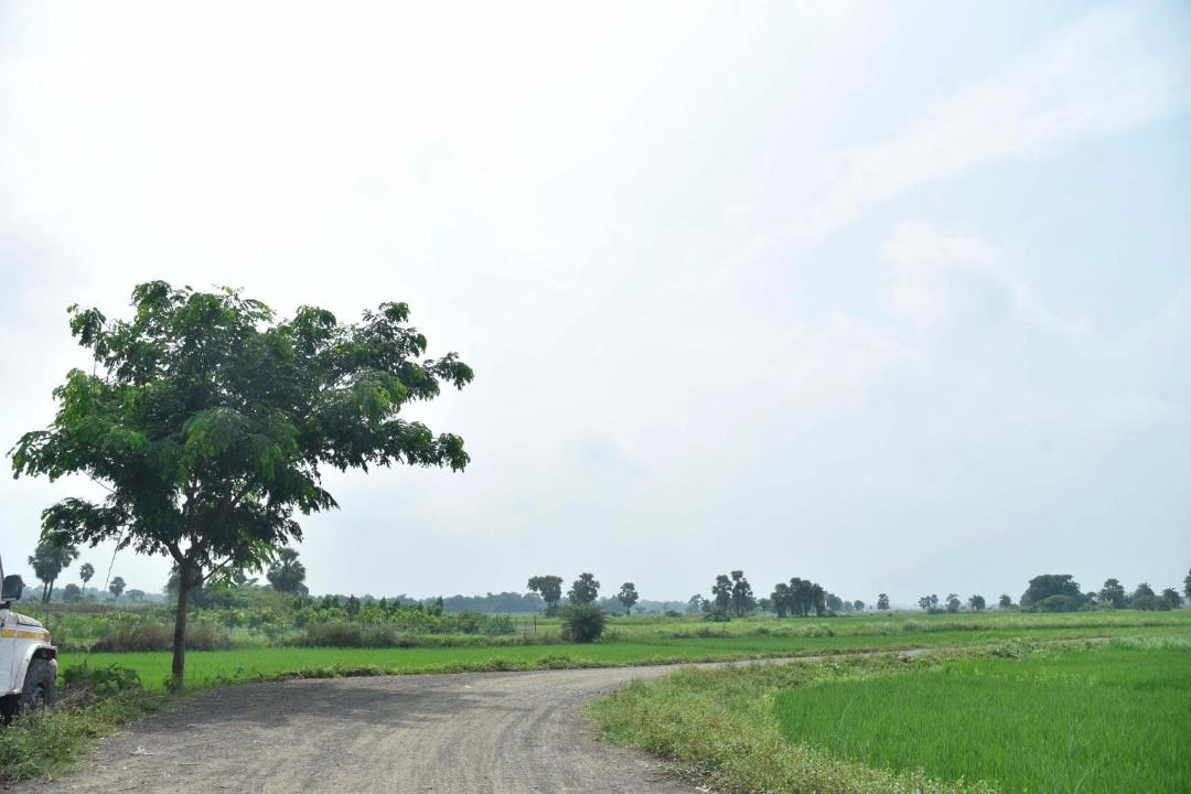 Photo of Others in Rampur Hat