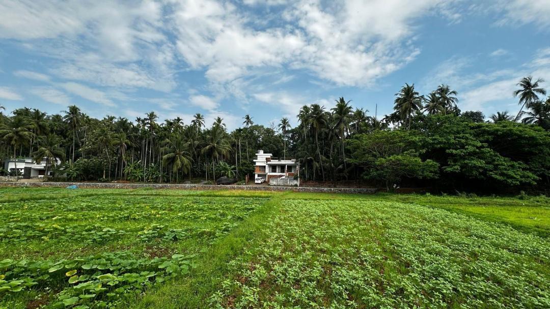 Photo of Others in Tirur