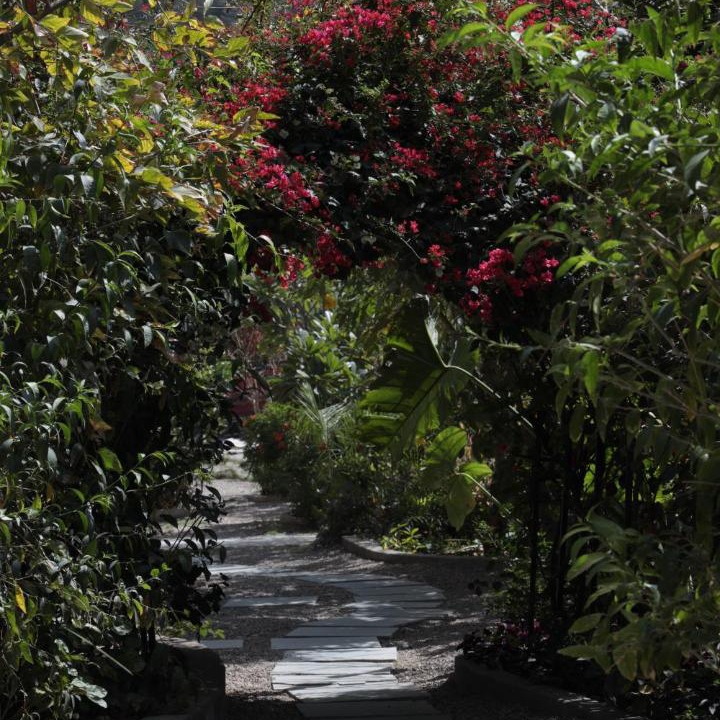 Photo of Outdoor in Tapovan