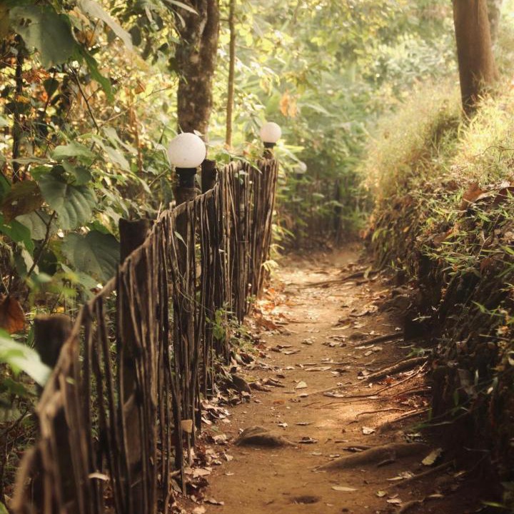 Photo of Others in Devikolam
