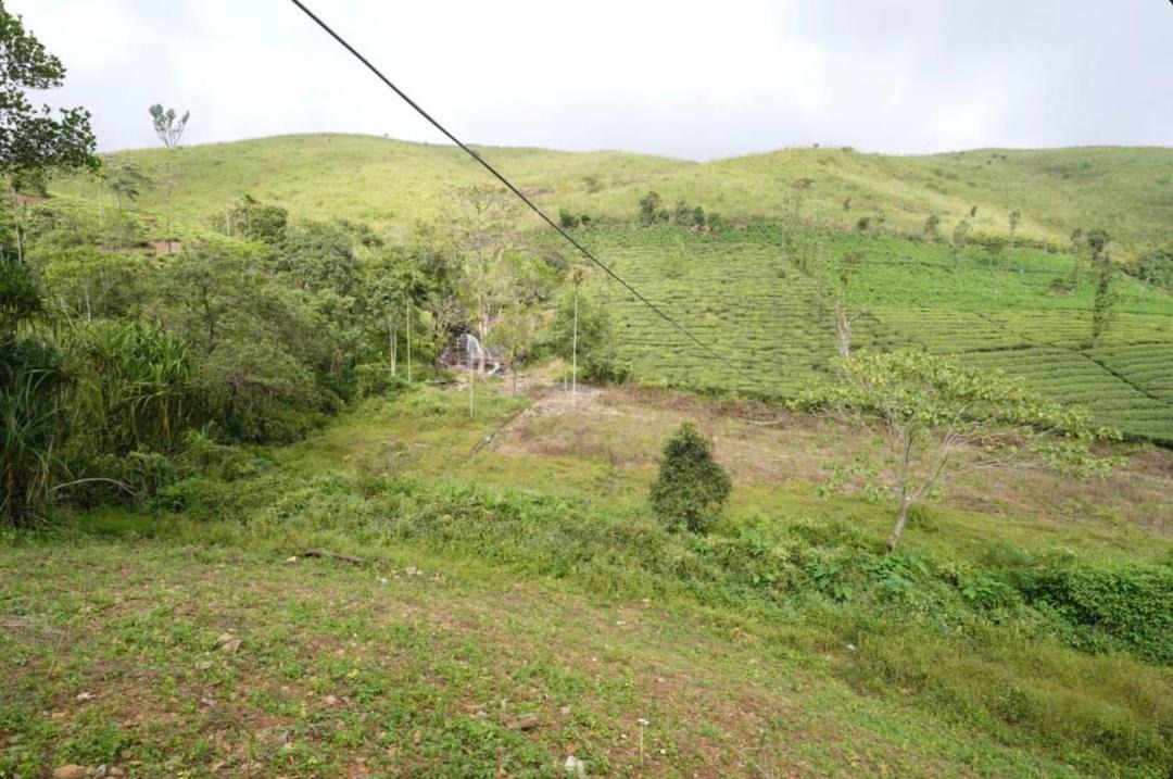 Photo of Others in Todupulai