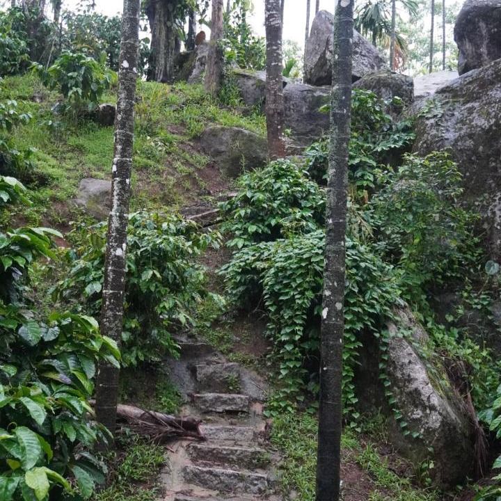 Photo of Others in Chikkamagaluru