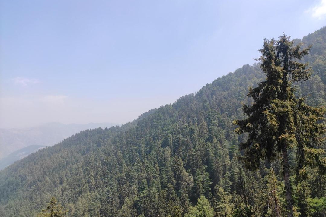 Photo of Others in Mashobra