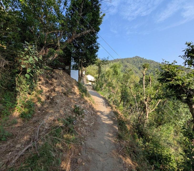 Photo of Others in Dalhousie
