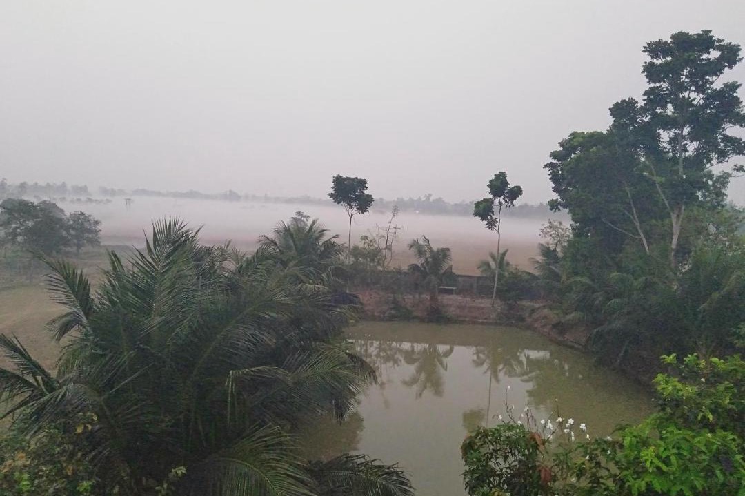 Photo of Others in Jharkhali