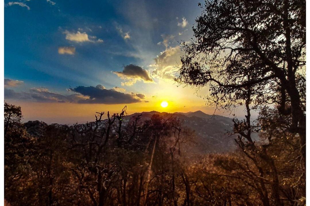 Photo of Others in Landour
