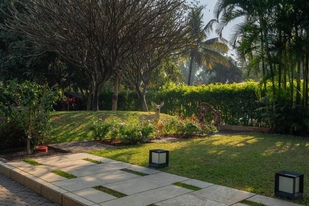 Photo of Others in Nashik