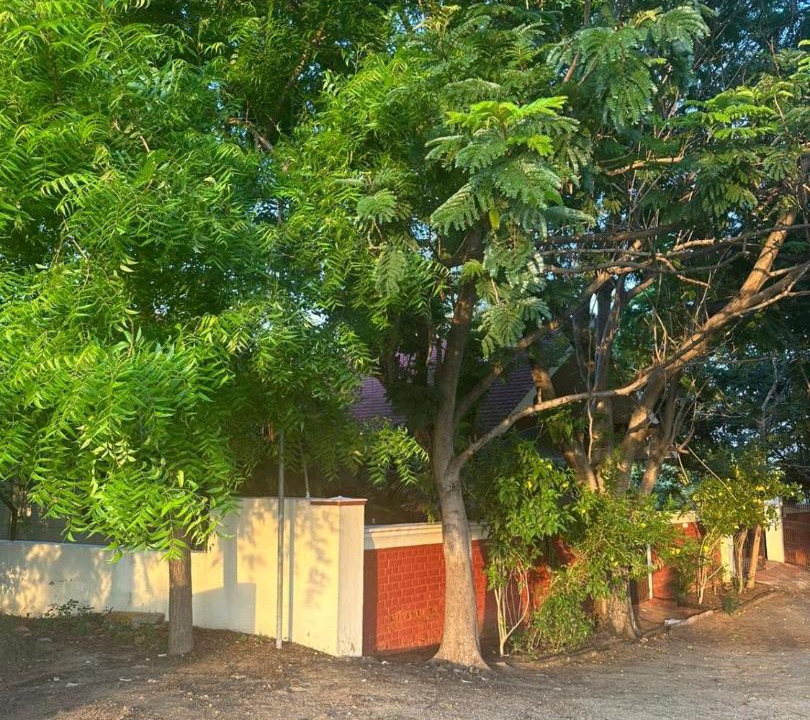 Photo of Others in Tirumangalam