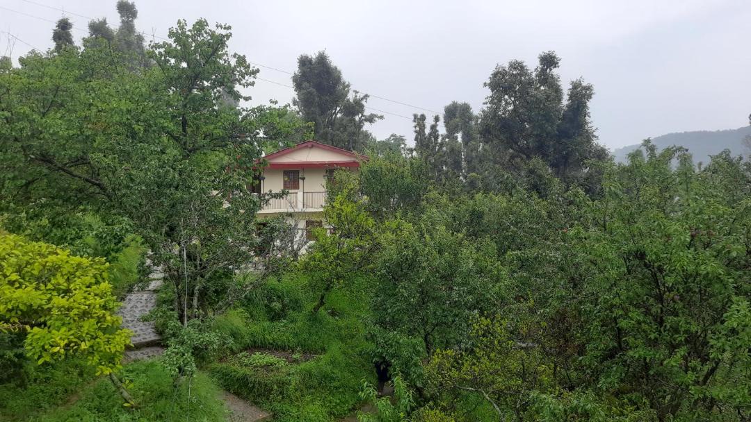 Photo of Others in Kaul