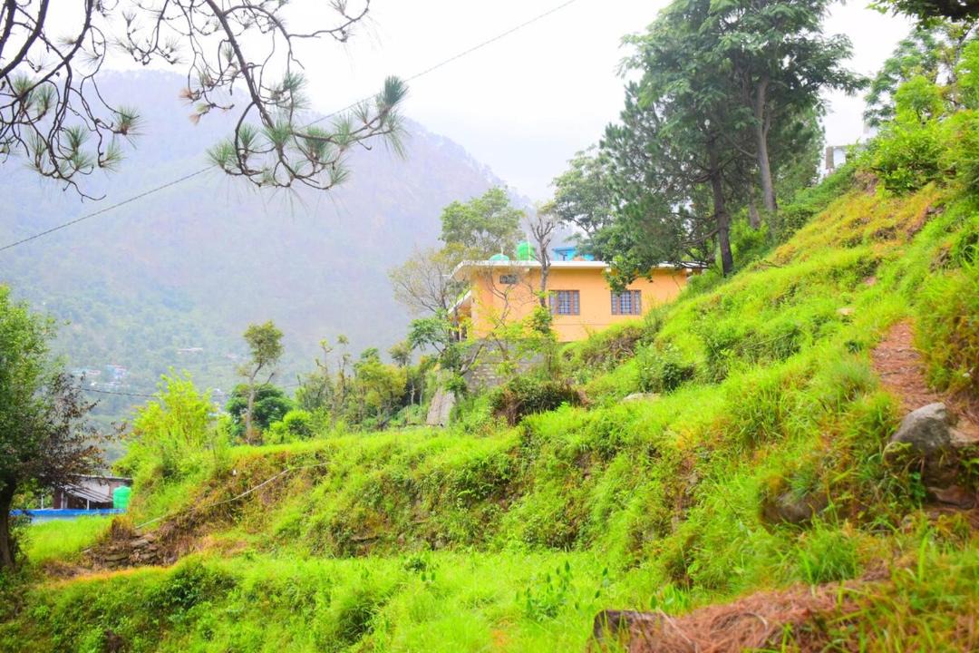 Photo of Others in Uttarkashi
