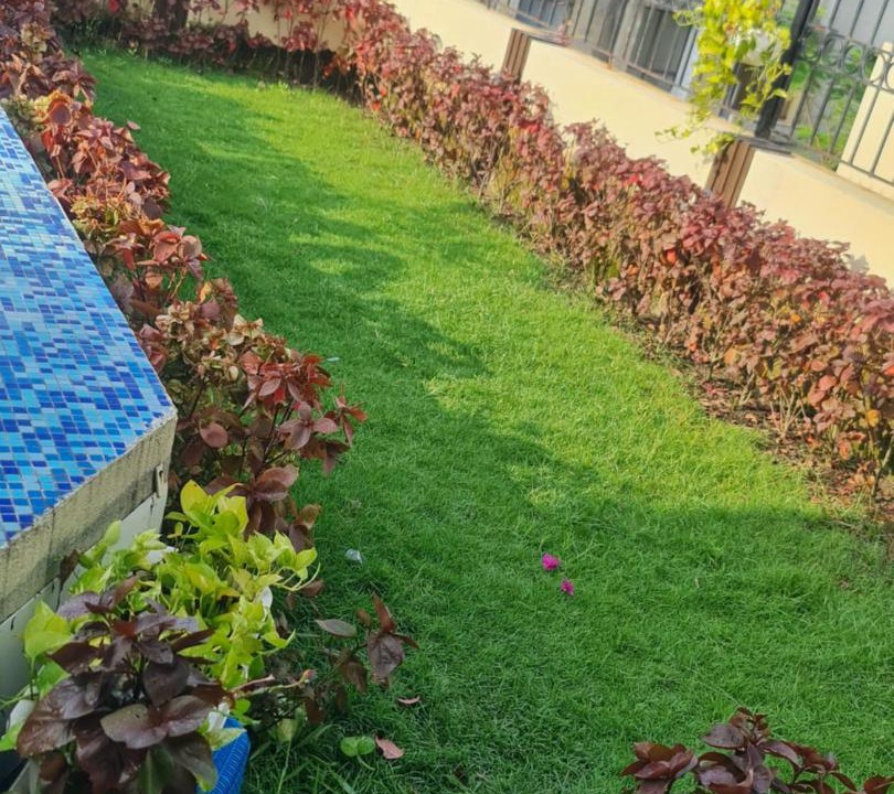 Photo of Outdoor in Vedic Village