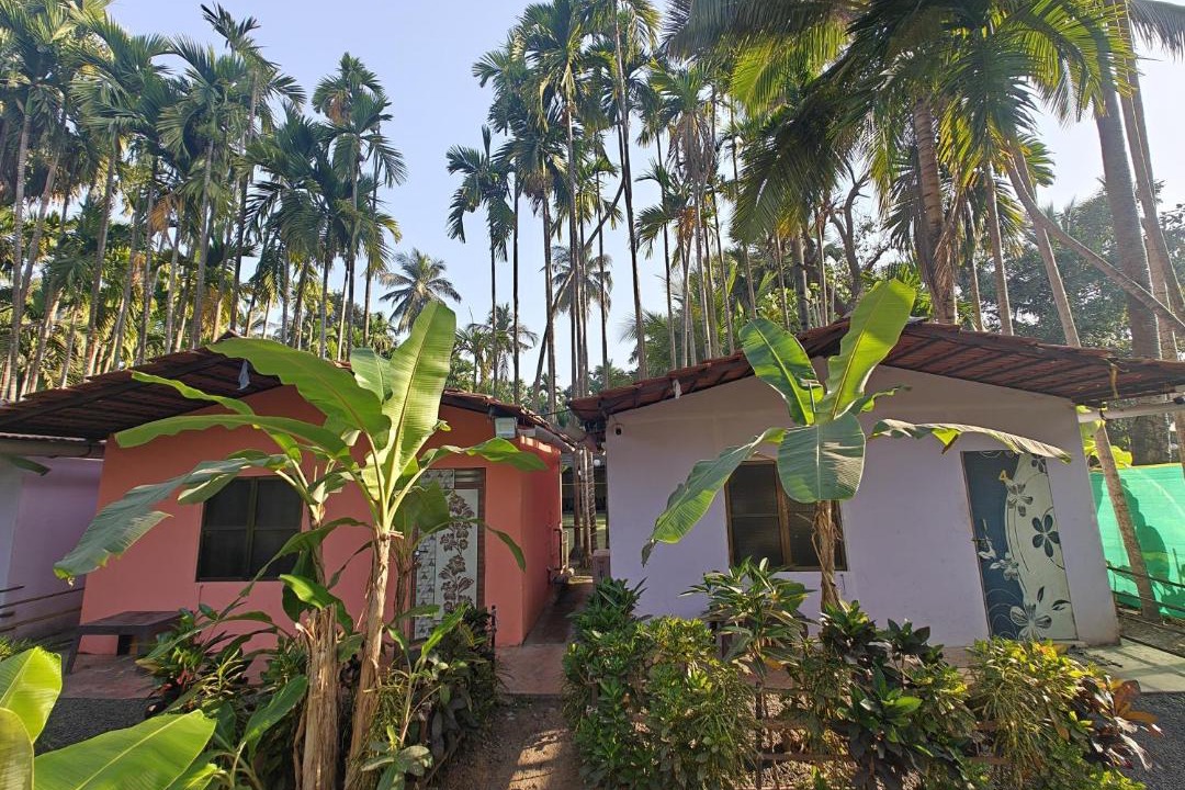 Photo of Others in Palghar