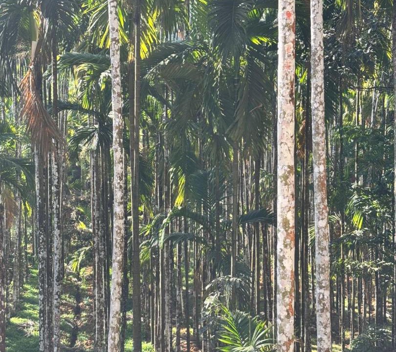 Photo of Others in Hole Narsipur