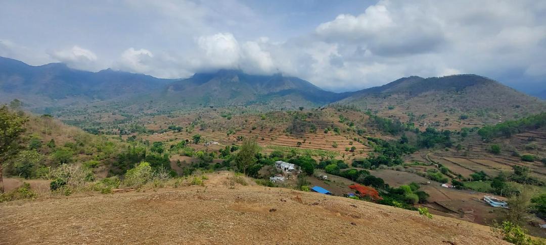 Photo of Others in Vythiri