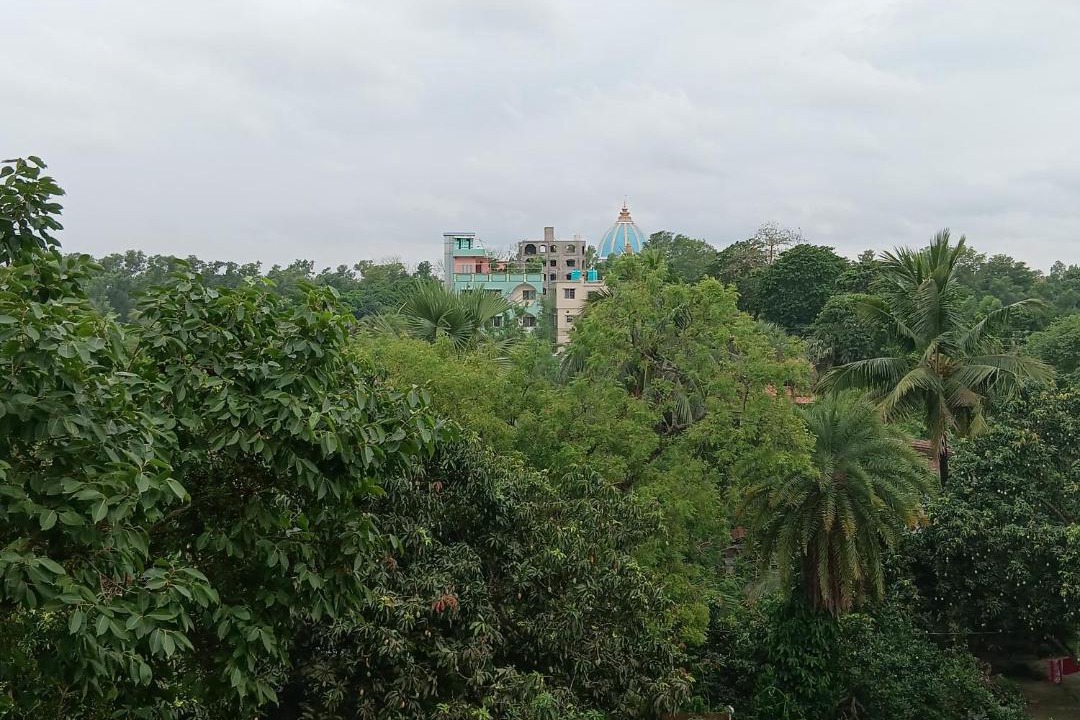 Photo of Others in Krishnagar-II