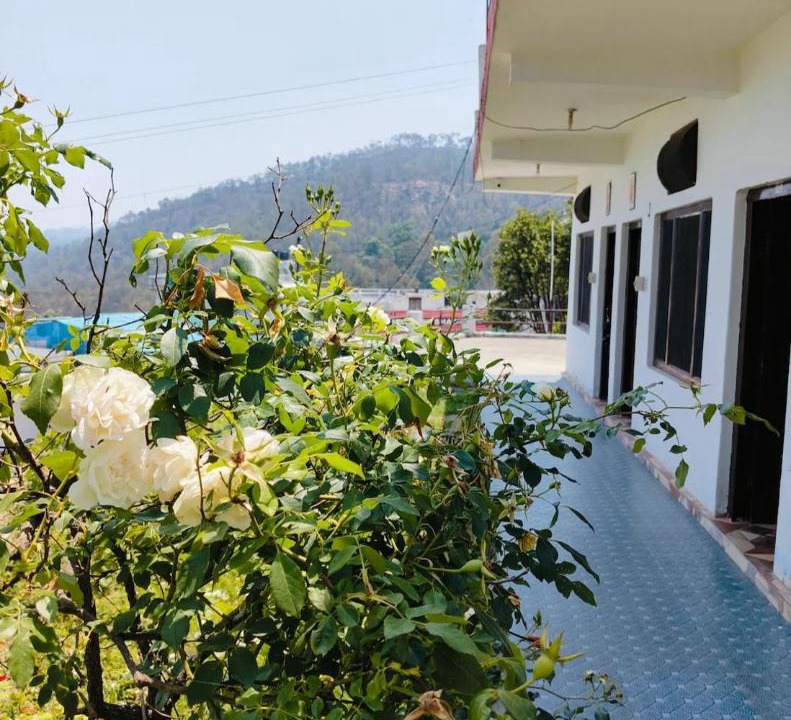 Photo of Others in Kausani