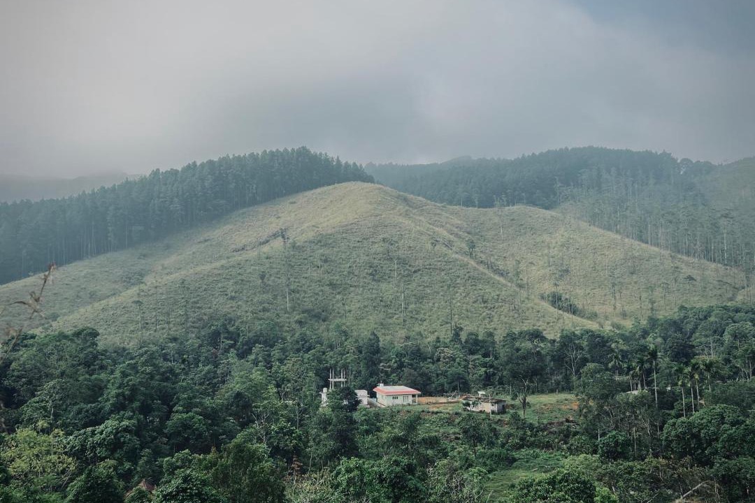 Photo of Others in Elappara