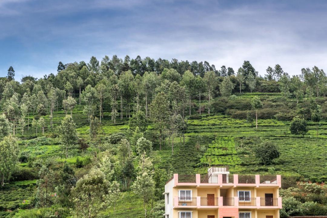 Photo of Others in Kotagiri