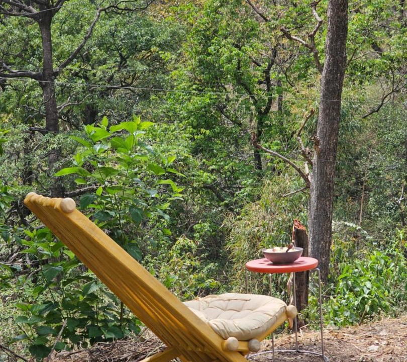 Photo of Outdoor in Tapovan