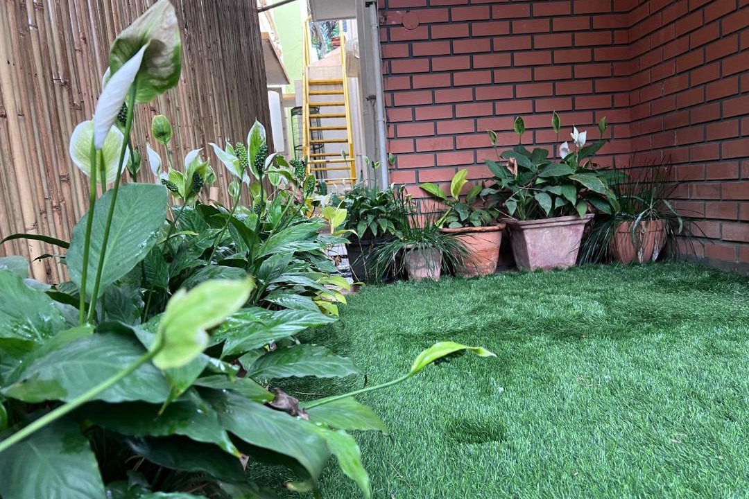 Photo of Others in Bengaluru