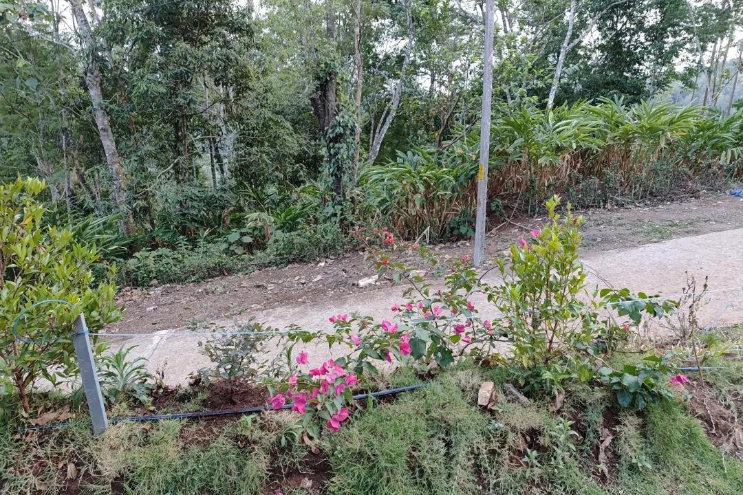 Photo of Outdoor in Udumbanchola