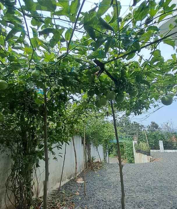 Photo of Outdoor in Kolagappara