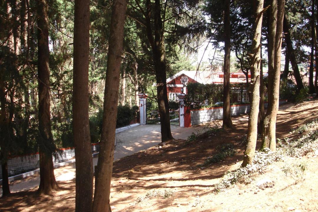 Photo of Others in Fern Hill