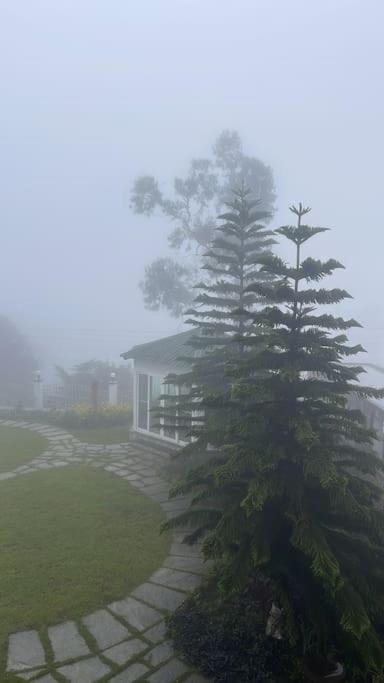 Photo of Others in Kodaikanal