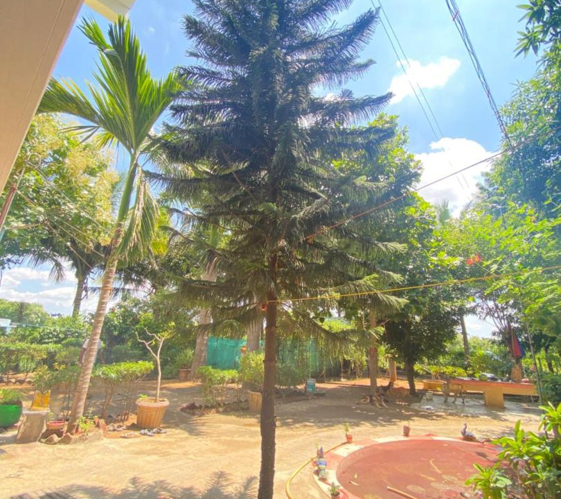 Photo of Others in Tiruvettipuram