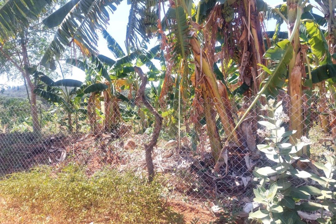 Photo of Others in Pennagaram