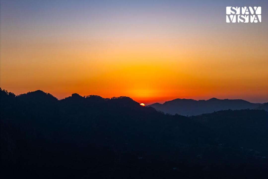 Photo of Others in Shimla