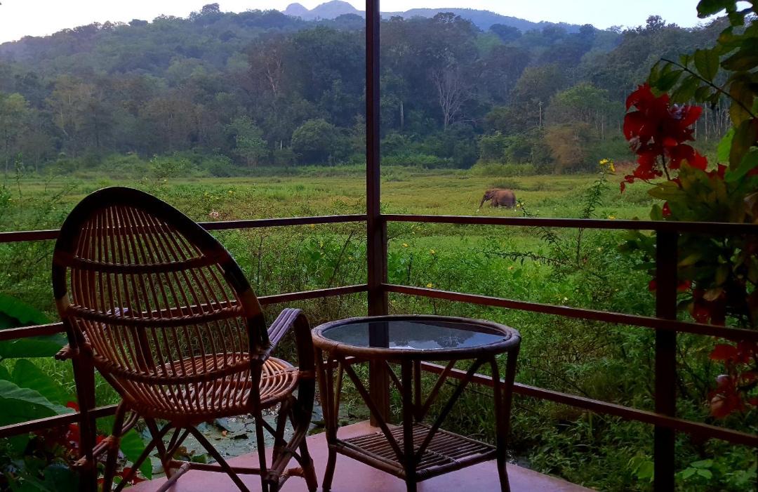 Photo of Patio Balcony in Kaimane