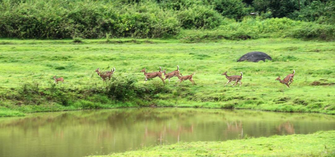 Photo of Others in Kaimane