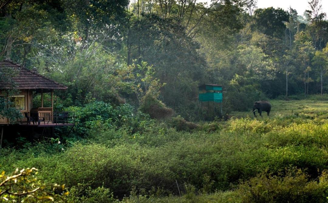 Photo of Others in Kaimane