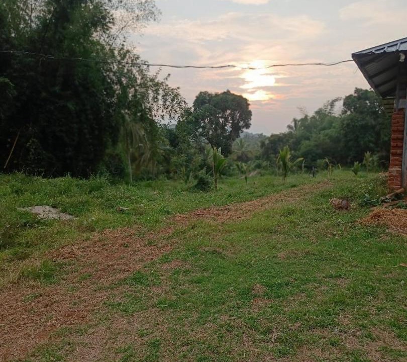 Photo of Others in Chittur