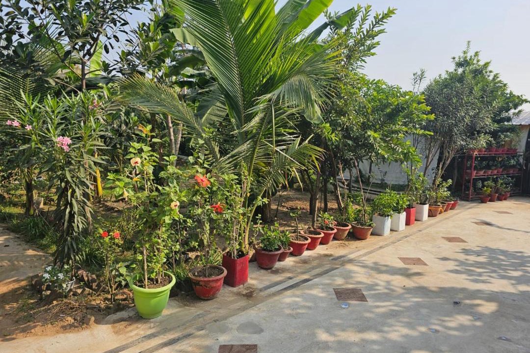 Photo of Others in Bolpur