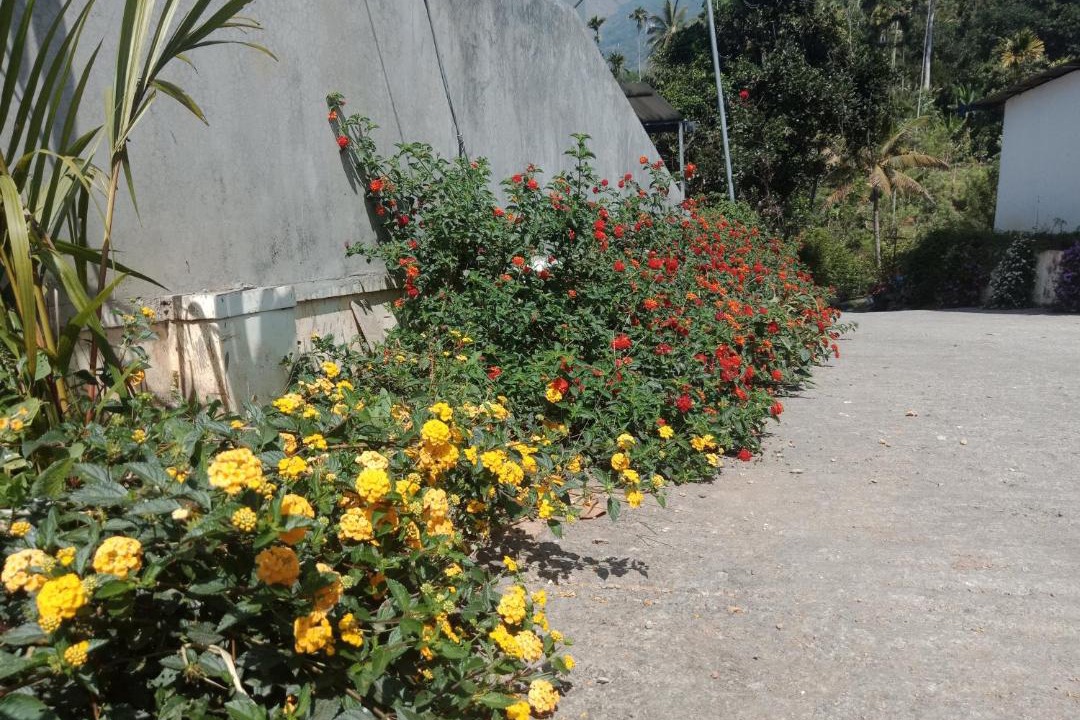 Photo of Outdoor in Anachal