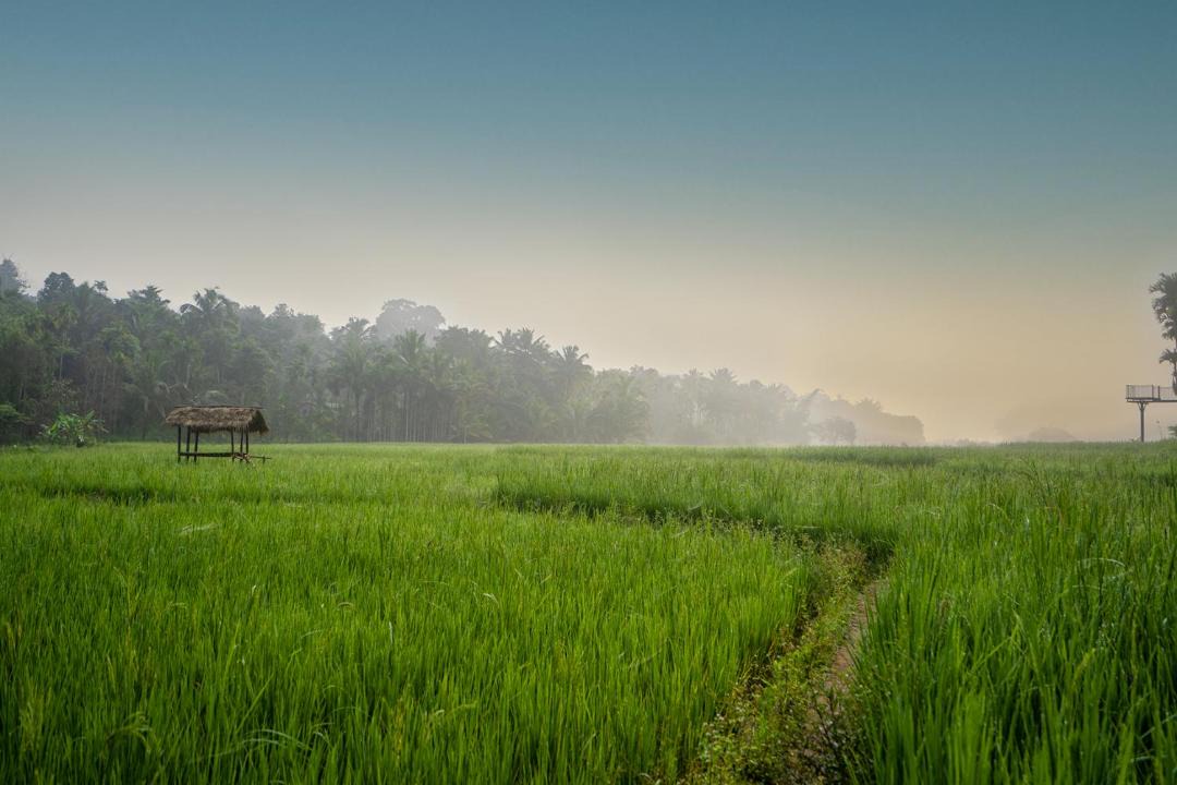 Photo of Others in Sulthan Bathery