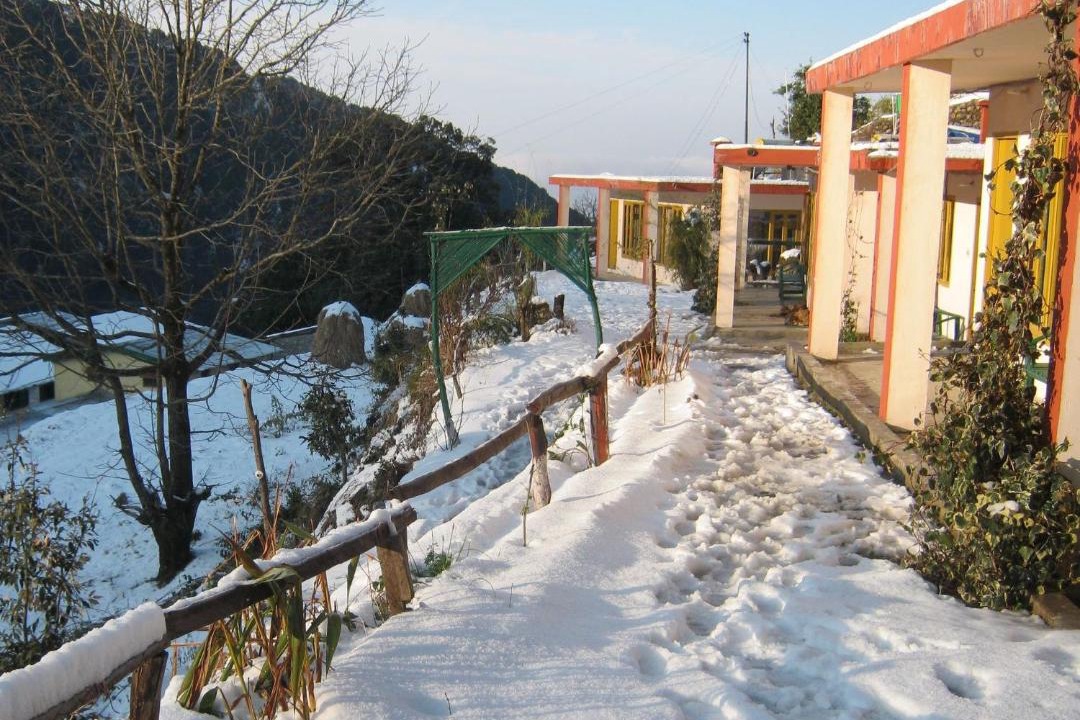 Photo of Others in Pangot