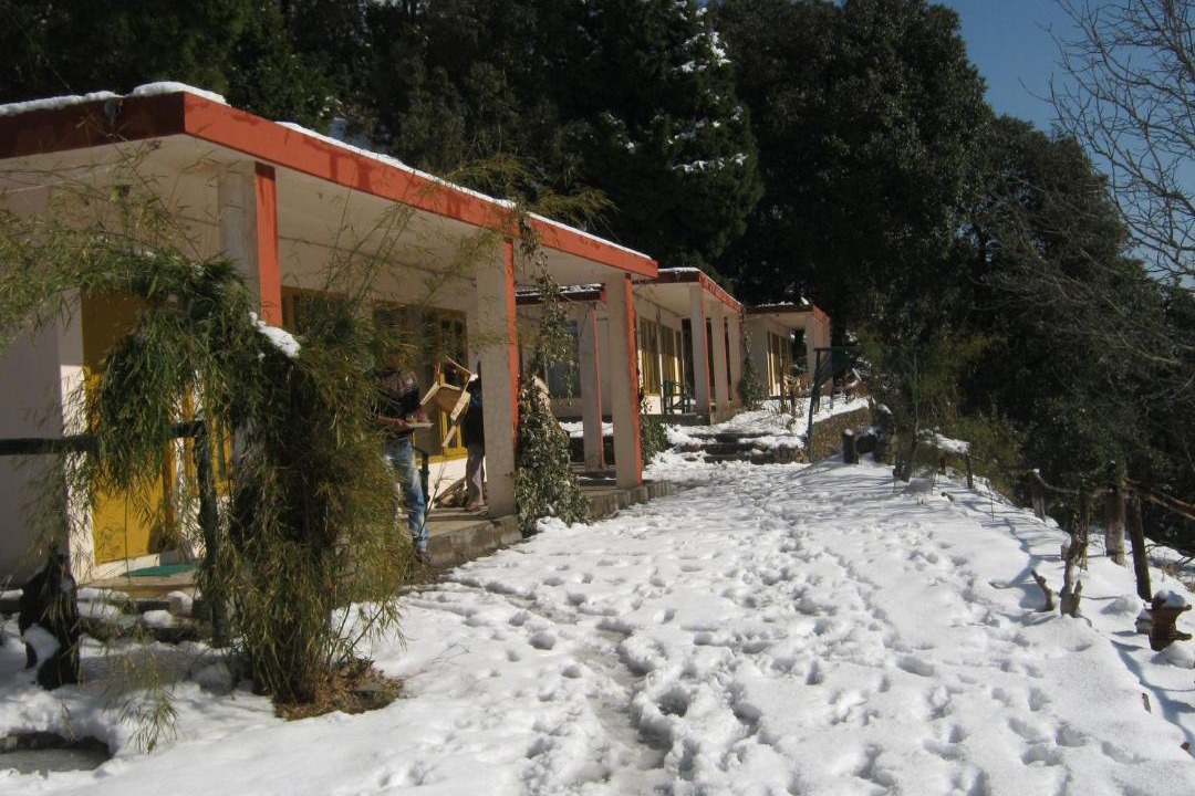 Photo of Others in Pangot