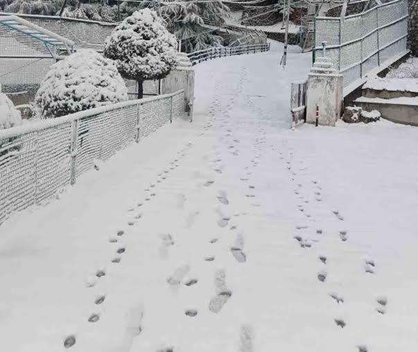 Photo of Others in Dhanaulti