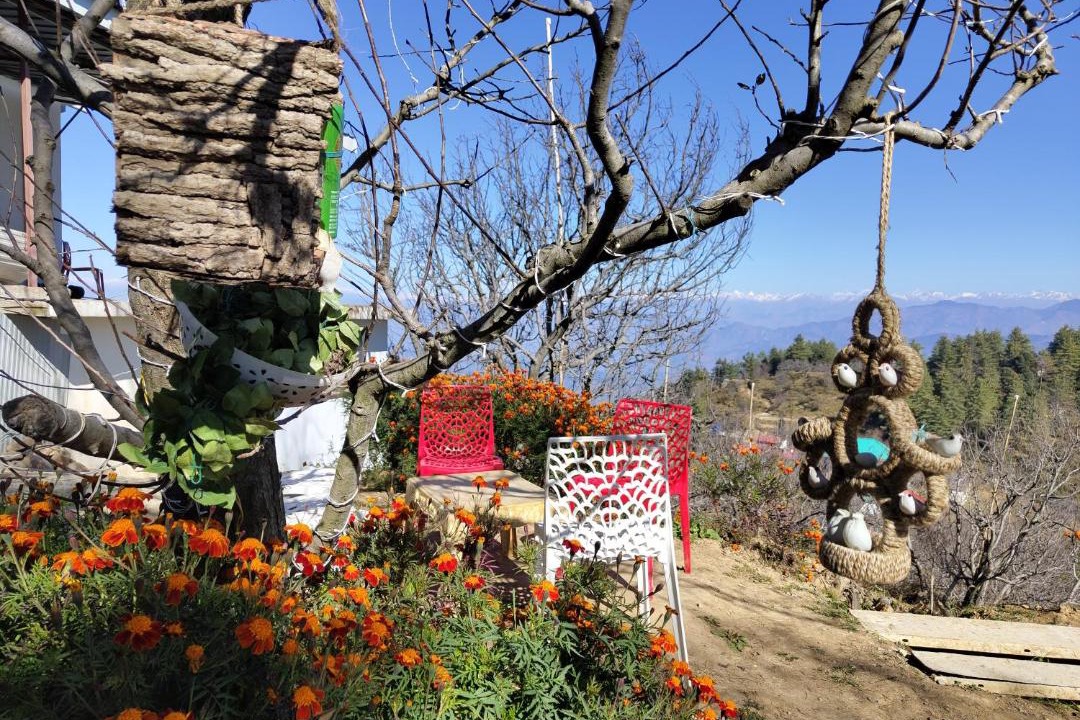 Photo of Others in Chachyot