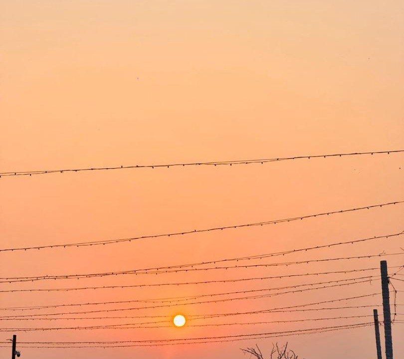 Photo of Human In Picture in Raigad