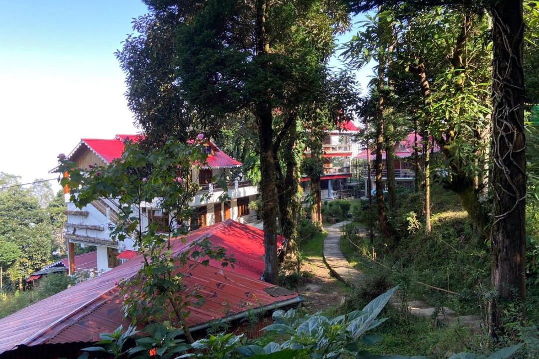 Photo of Others in Darjeeling