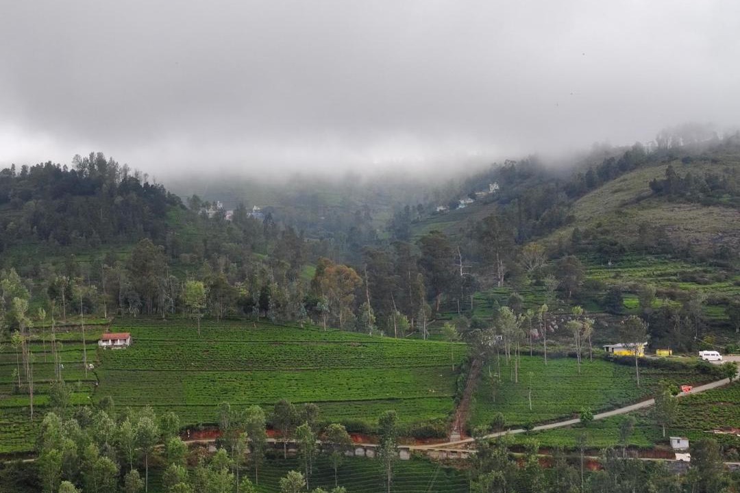 Photo of Others in Kotagiri