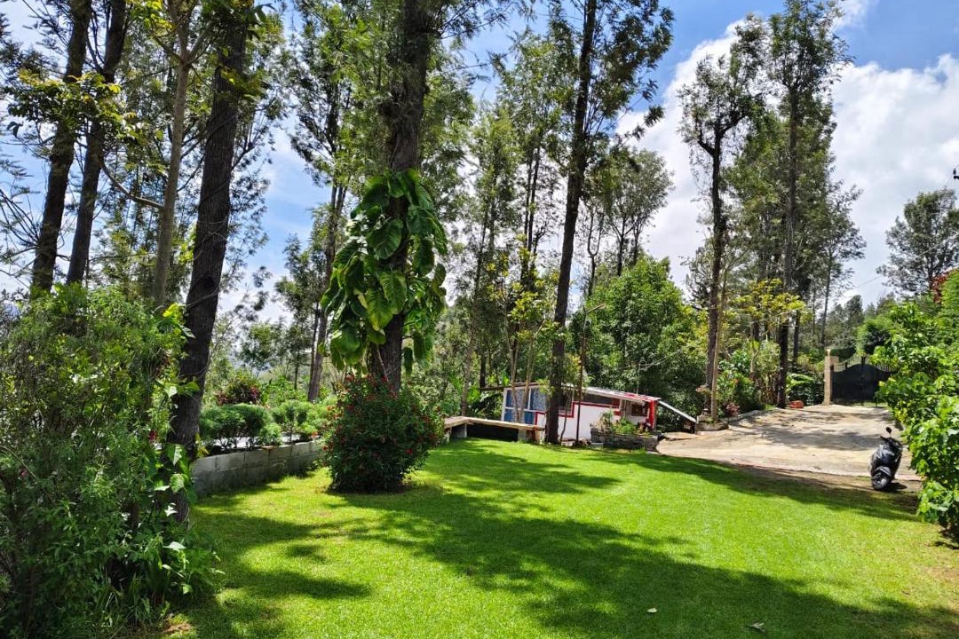 Photo of Others in Kotagiri
