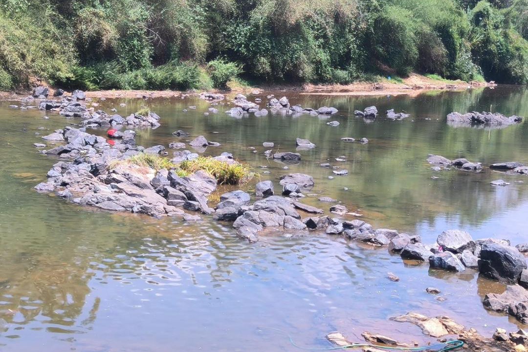 Photo of Others in Siddapura