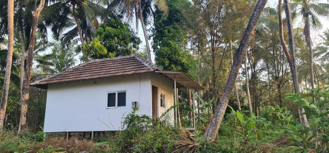 Photo of Others in Palakkad
