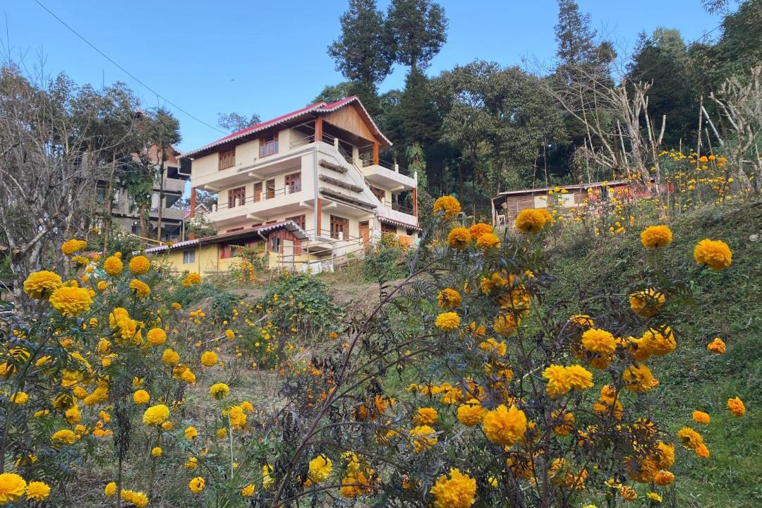 Photo of Others in Darjeeling