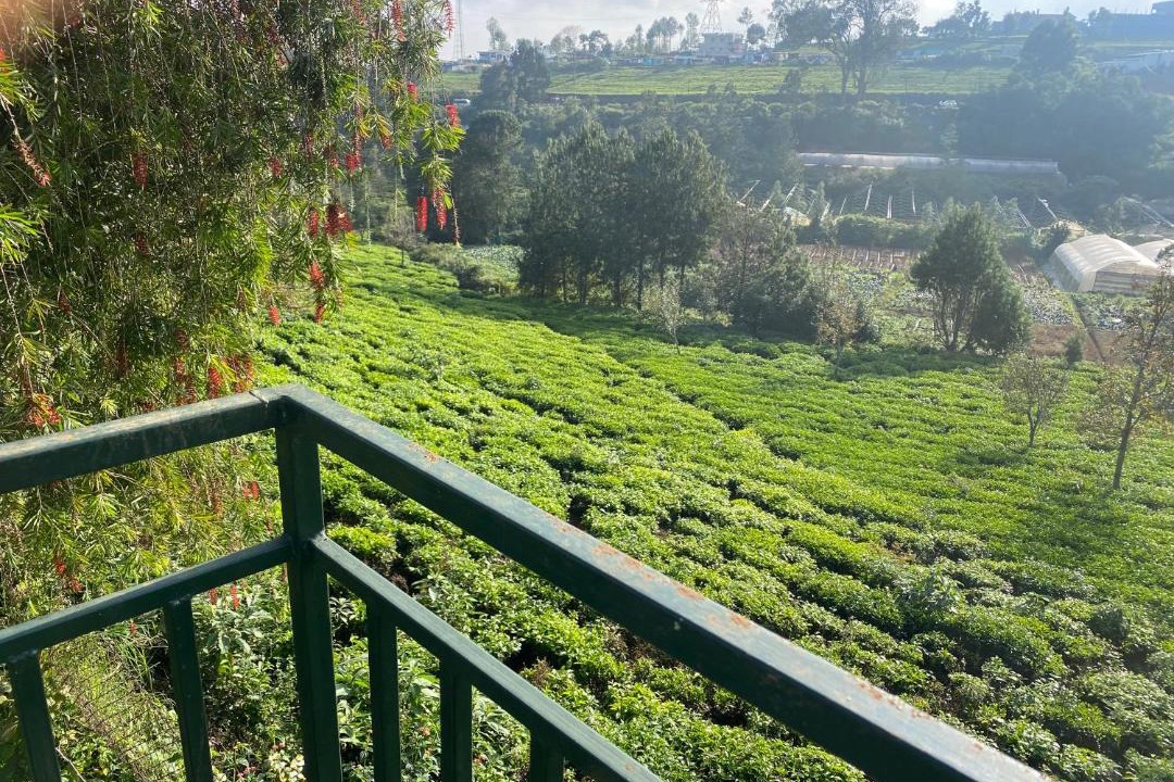Photo of Others in Kotagiri